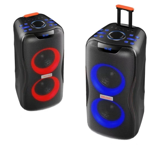 Temeisheng 2022 DJ Box Music MP3 Party Sound Box 100W Professional Portable Audio Wireless Bluetooth PRO Speakers with Microphone